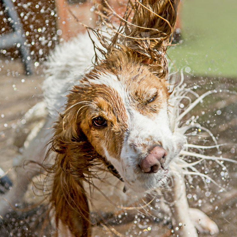 Alle info op een rijtje